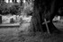 Hidden Cemetery 4