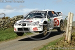 HAMILTONS FOLLY 25