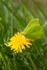 20120324-_MG_9881