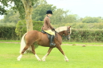 SBM_71835