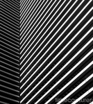 Straight Lines