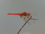 P1045909
