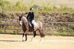 SBM_009265