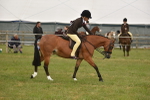SBM_10706
