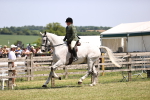 SBM_16113
