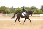 SBM_005582