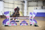 Class 4 - Senior 1.15m Open (inc National 1.15m Members Cup Qualifier) portfolio