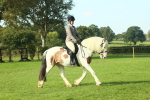 SBM_59845