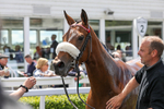 080624-Race 1-Rapido Girl-4563