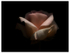 Pink Rose