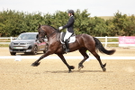 SBM_003697