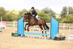 SBM_008280
