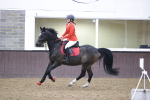 SBM_000592