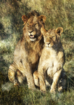 Purrrfect Couple