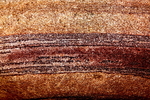 20100831_0248_2