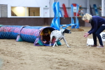 SBM_005463