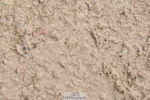 230511A-131540-00727