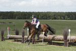 BVHT 140517  IXC -230