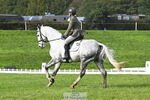 D-329-Clementine.Montgomerie portfolio