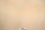 240323A-095850-01065