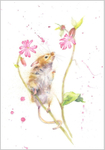 Harvest Mouse Fine Art Print 566