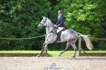 CCI-L 3 Star - Rider 340 to 390 portfolio