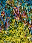 Alga Abstract