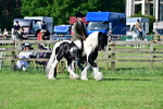 SBM_11692