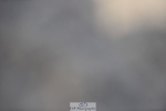 240706A-150442-03407