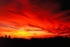 Fiery Sunset