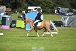 Saturday 26th - PC70 Dressage portfolio