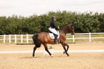 SBM_000348