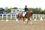 SBM_012013