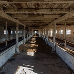 Pig Farm