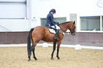 SBM_002645