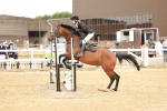 SBM_007834