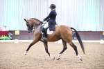 SBM_012357