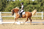 SBM_007725
