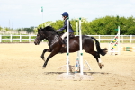 SBM_007756