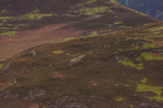 British Fell Relay-667