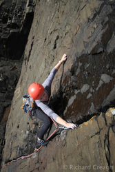 Beara Thin Crack