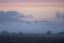#77 The Curragh Camp I