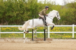 SBM_005541