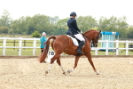SBM_002856