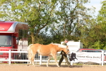 SBM_17978