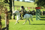 SBM_36307
