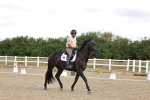 SBM_003729