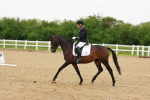 SBM_005374