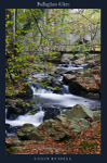 Ballaglass Glen 2