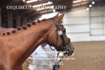 JAC_6591